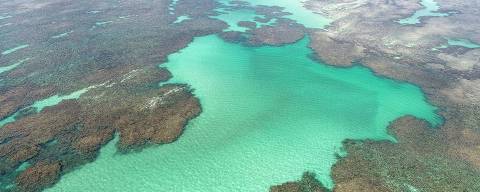 Vacation on deserted beach with natural pools of in Brazil. São Miguel dos Milagres, Alagoas, Brazil. Fantastic landscape. Great beach scenery. Paradise beach. Brazillian Caribbean