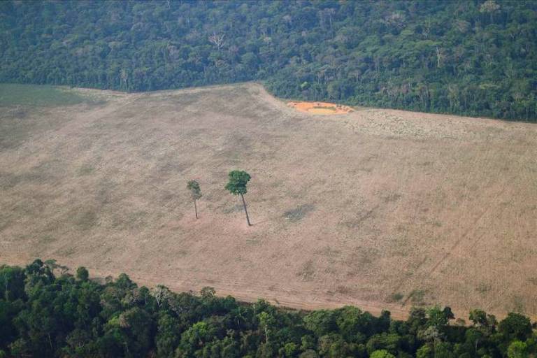 Áreas de expansão do agro têm recorde de conflitos por terra sob Lula, diz relatório