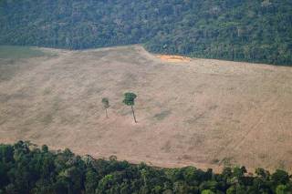 Trecho desmatado da Amazônia perto de Porto Velho em Rondônia