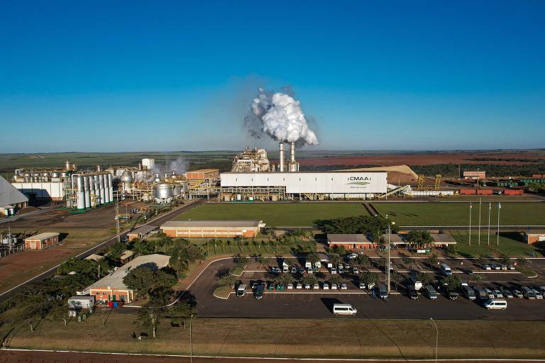 Clima reduz safra de cana em Minas Gerais, mas área plantada cresce 10%