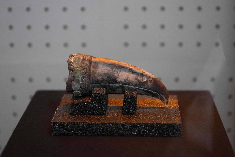 Arqueólogos encontram restos de mulher da primeira civilização das Américas