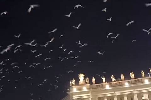 Pássaros sobrevoam o Vaticano
