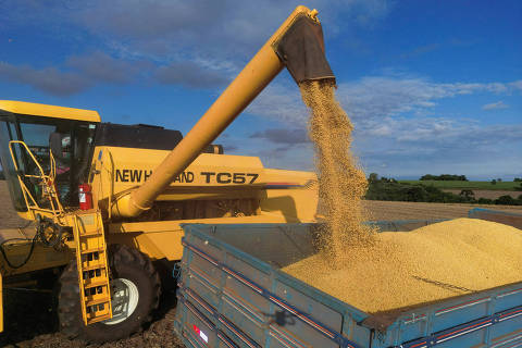 Com mais participação do Brasil, China diz que pode suprir a falta de importações agrícolas dos EUA