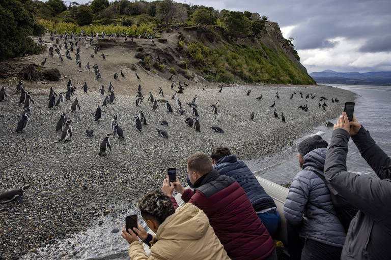 Invasão de turistas rumo à Antártida infla preços e agrava crise em Ushuaia