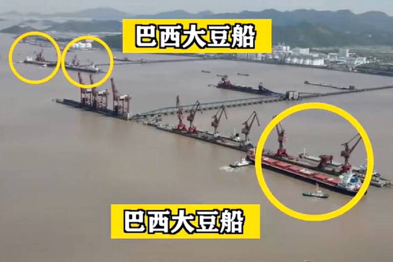 China mostra chegada de soja brasileira e diz que não precisa dos EUA