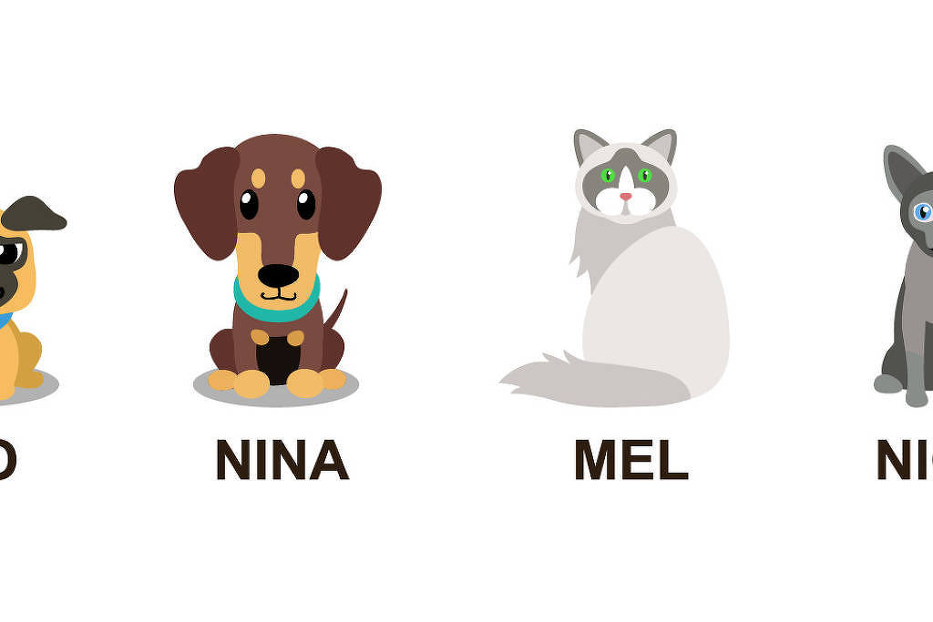 Desafios de Matemática: qual casinha pertence a cada um dos animais?