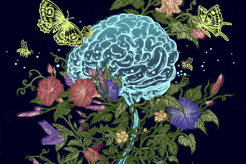 A growing understanding of how ?reproductive? hormones sculpt the brain could transform the management of neurological conditions. (Yuko Shimizu/The New York Times) ? FOR EDITORIAL USE ONLY WITH NYT STORY SLUGGED SCI BRAIN HORMONES BY RACHEL E. GROSS FOR APRIL 21, 2025. ALL OTHER USE PROHIBITED ? ORG XMIT: XNYT0768
