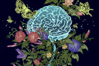 A growing understanding of how ?reproductive? hormones sculpt the brain could transform the management of neurological conditions. (Yuko Shimizu/The New York Times)