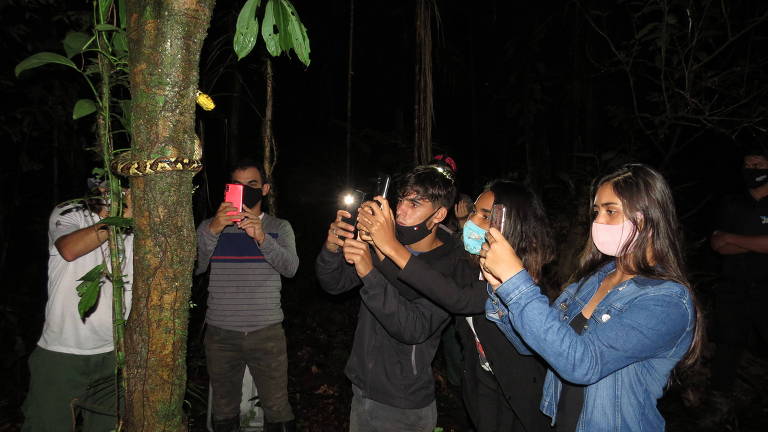 Um grupo de cinco pessoas está em uma floresta à noite, observando e fotografando algo em uma árvore. Algumas pessoas estão usando máscaras e segurando celulares com luzes acesas. A árvore é coberta de musgo e há folhas verdes ao redor. O ambiente é escuro, com pouca iluminação natural.