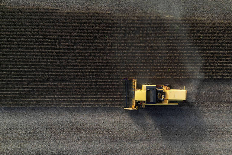 Brasil avalia contar com investidores estrangeiros para ampliar financiamentos ao setor agrícola