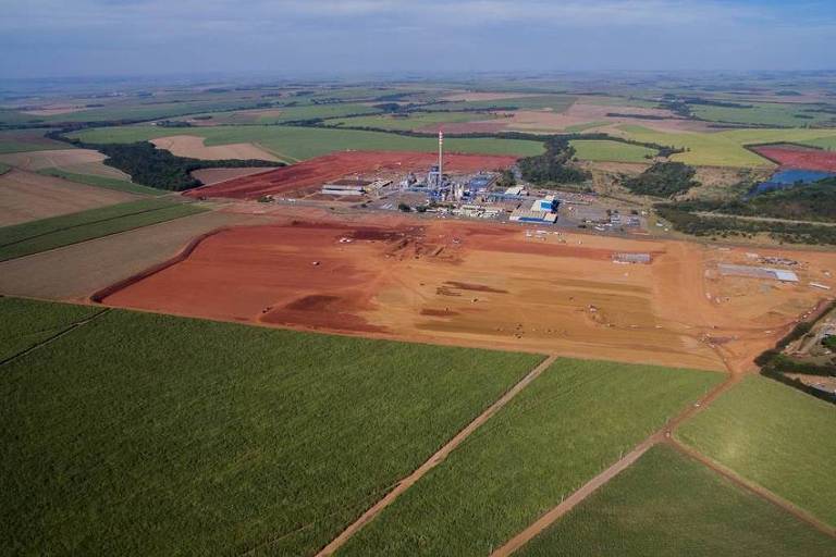Expansão de celulose ligada a grupo estrangeiro cria conflito com produtores de cana em SP