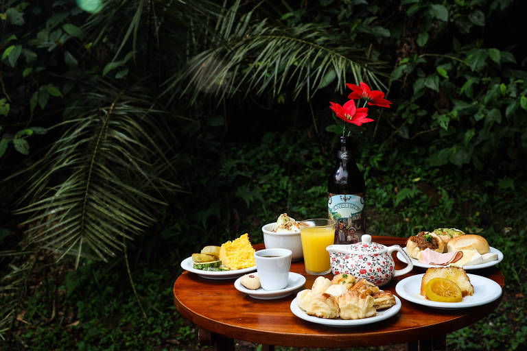 Uma mesa de madeira com várias opções de café da manhã dispostas sobre ela. Há pratos com pães, frutas, um bolo, e uma bebida em um copo. Também há uma chaleira decorativa e uma garrafa de bebida. Ao fundo, pode-se ver uma vegetação densa com folhas verdes e uma flor vermelha em destaque.