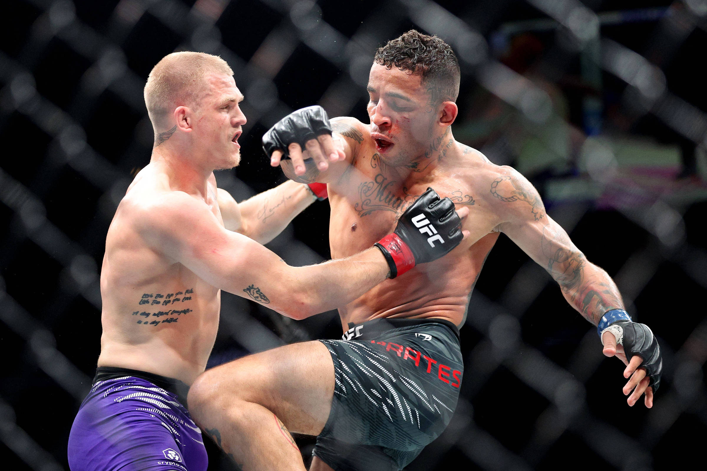 É possível ser progressista e gostar de MMA, UFC e esportes de combate?
