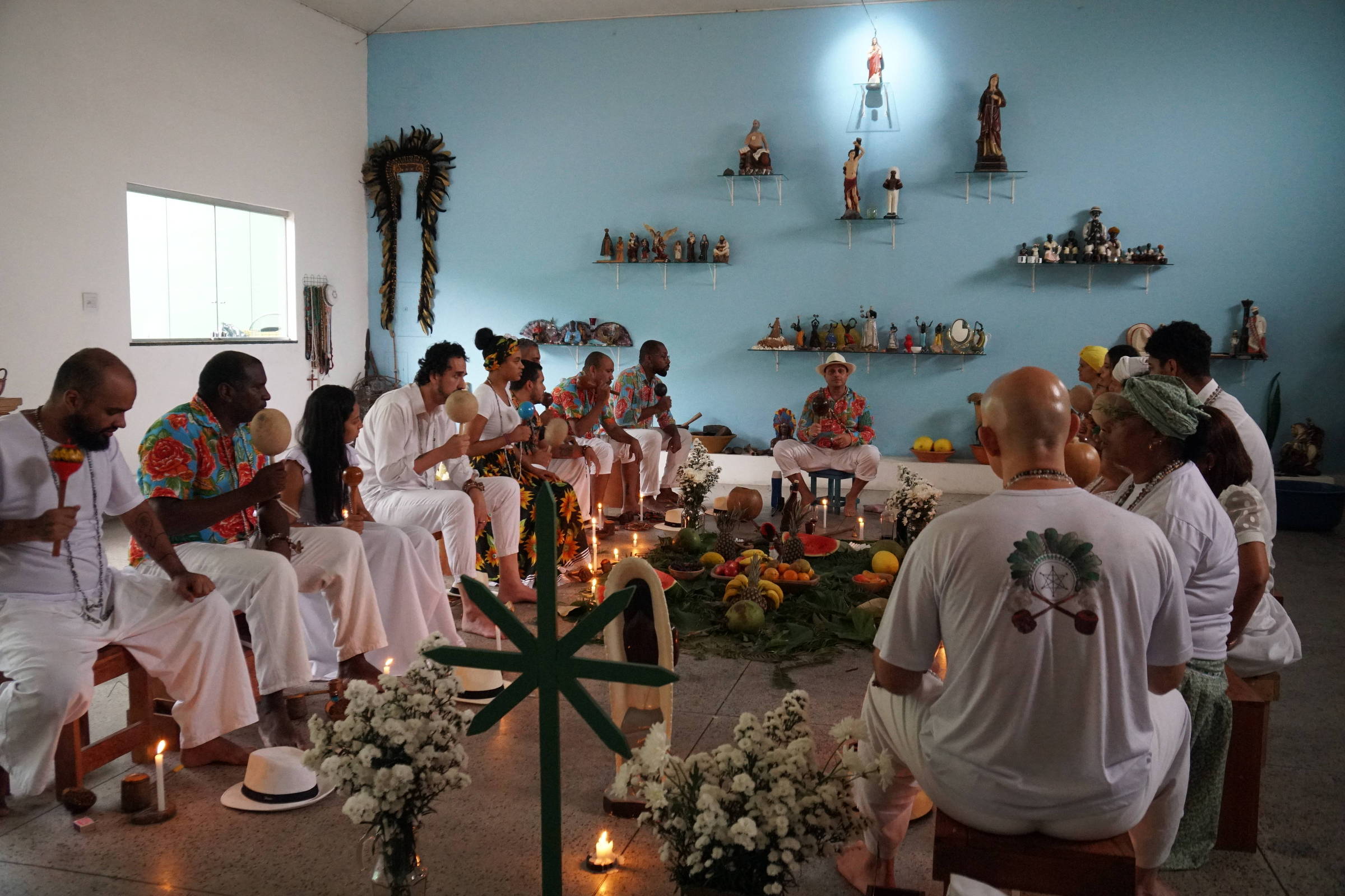 Livro explica como planta do Nordeste originou religião e inspira a ciência