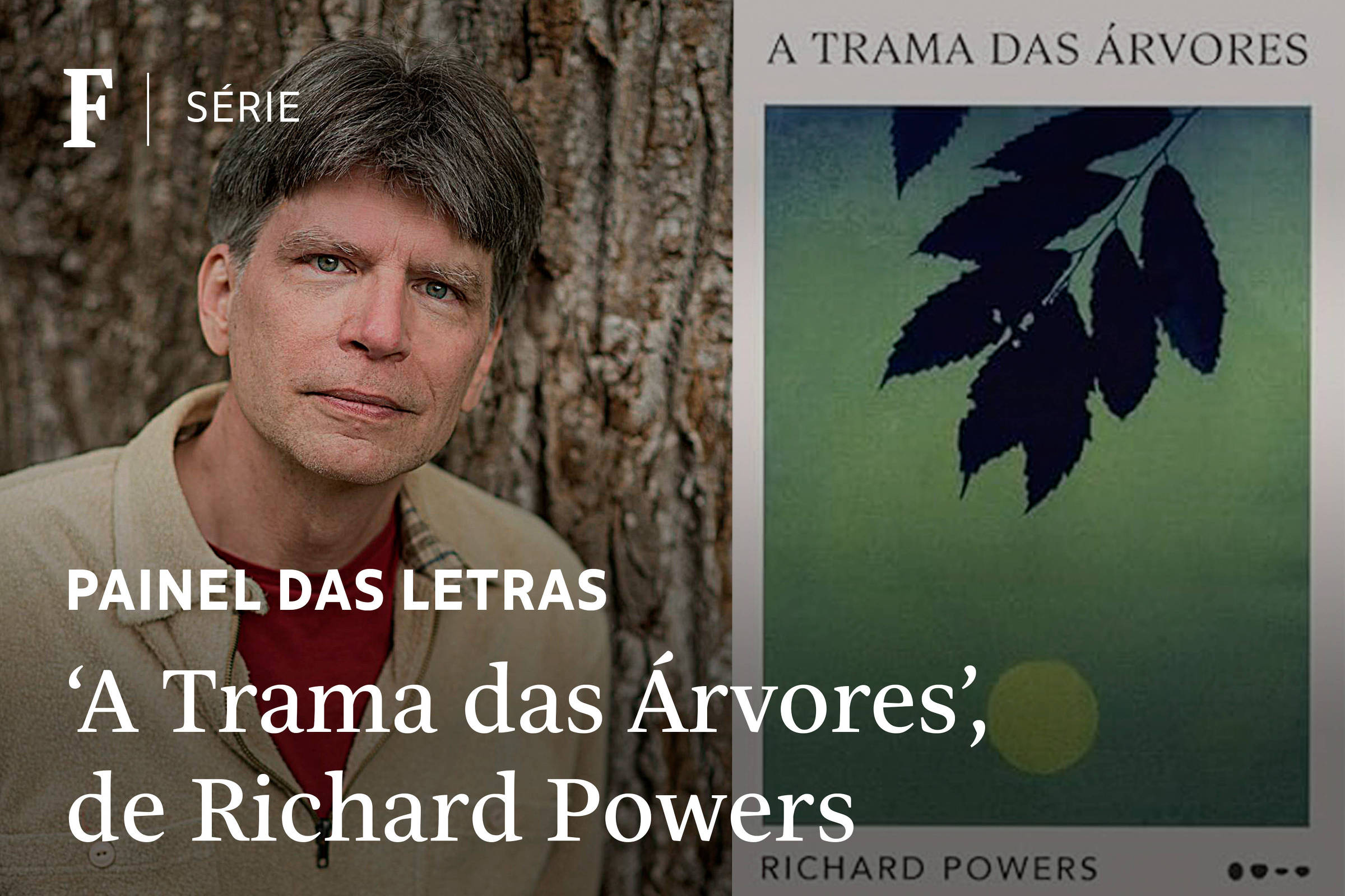 Livro 'A Trama das Árvores' venceu Pulitzer ao pôr foco nas plantas; veja vídeo