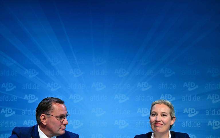 AfD tem status de partido de extrema direita ratificado na Alemanha