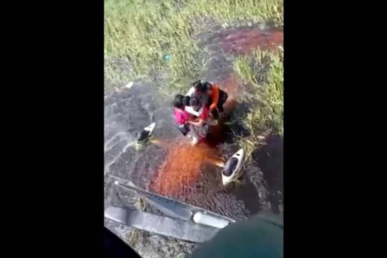 O resgate de passageiros após pouso de emergência em área com jacarés na Amazônia