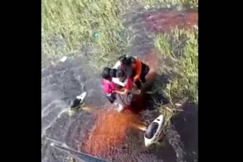 BBC NEWS BRASIL. Cinco pessoas foram resgatadas após passarem 36 horas em cima de um avião em um pântano infestado de jacarés na Amazônia boliviana, segundo autoridades locais.