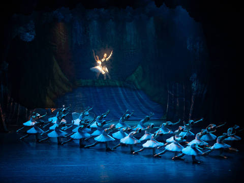 Dança 'Lago dos Cisnes', da Cia Paulista de Dança