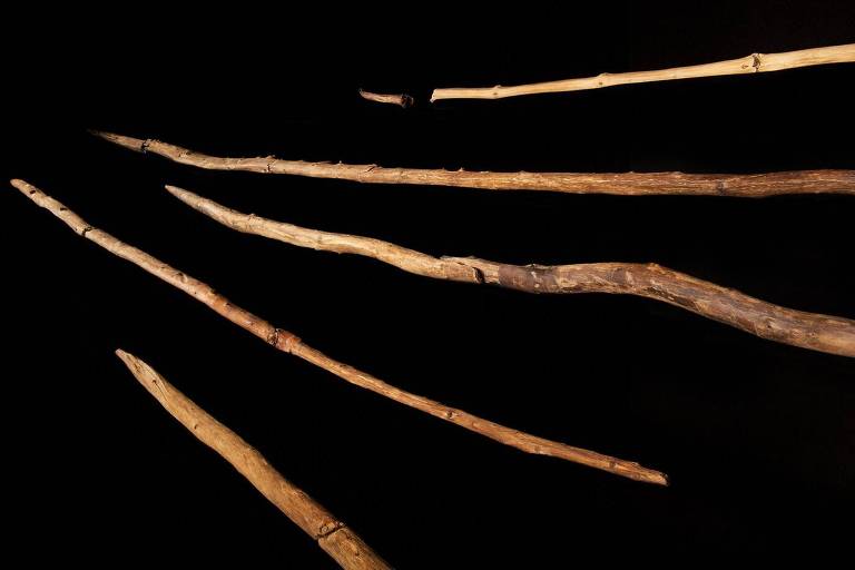 Neandertais foram os primeiros da linhagem humana a criar lanças