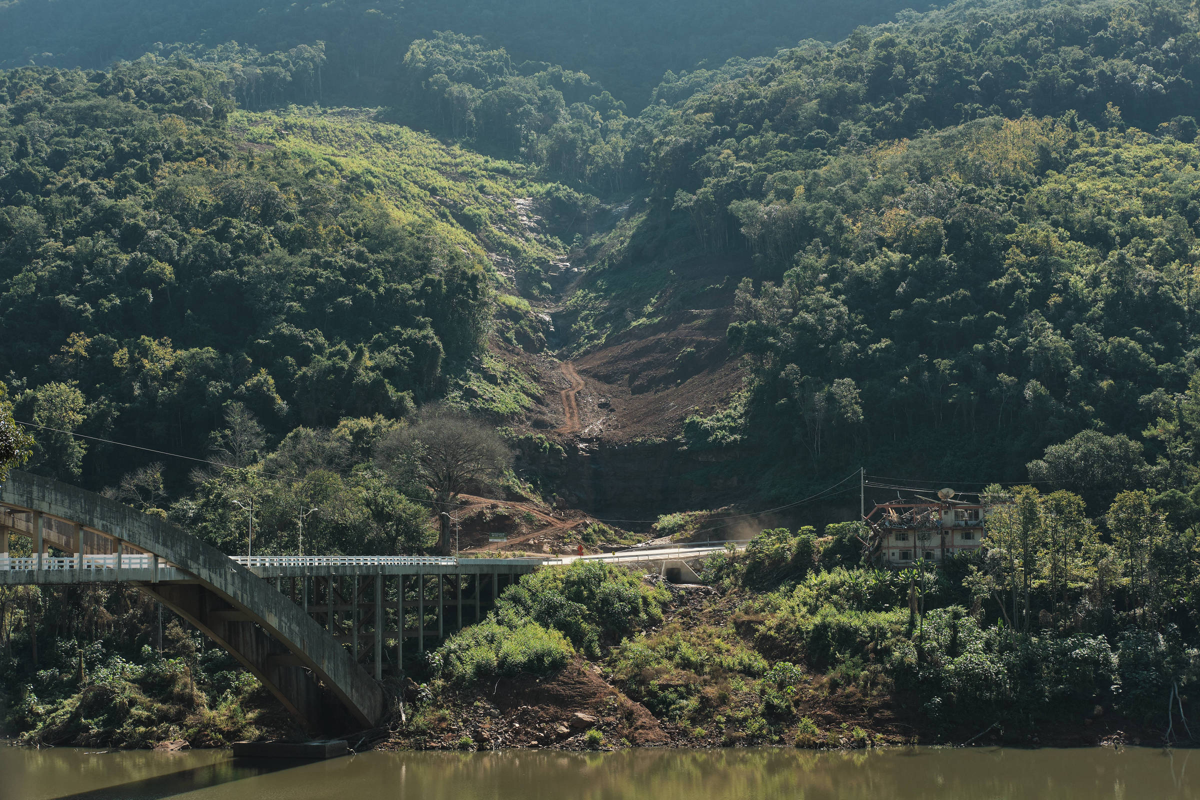 Mata atlântica tem pequena redução no desmatamento e perdas por desastres climáticos