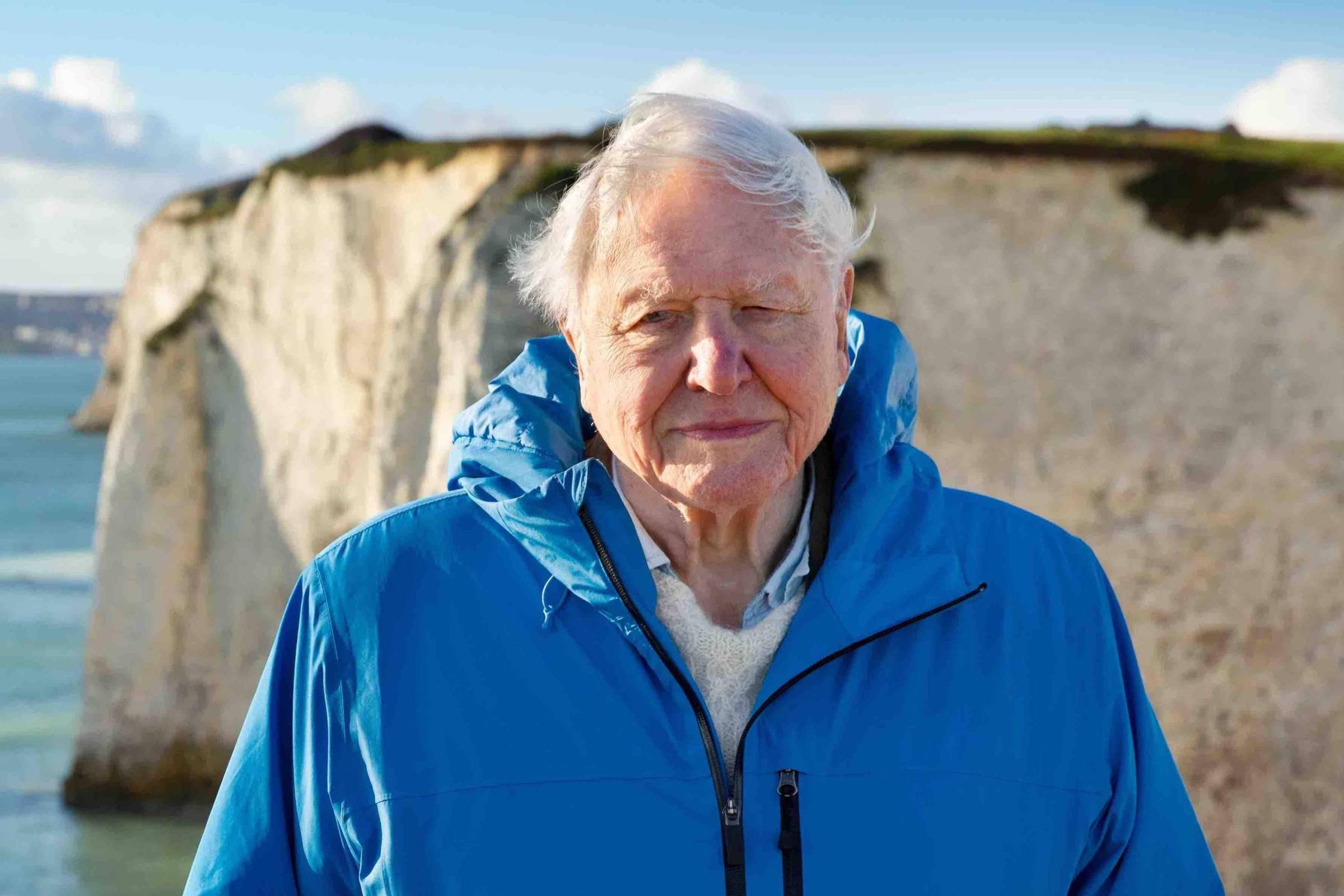 A poderosa e otimista mensagem sobre o futuro do planeta de David Attenborough aos 99 anos