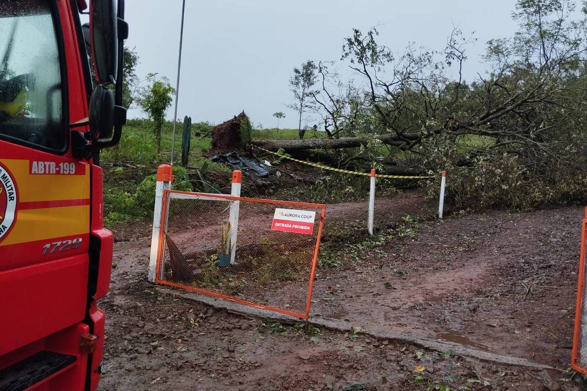 Temporal causa estragos e deixa um morto no oeste de Santa Catarina