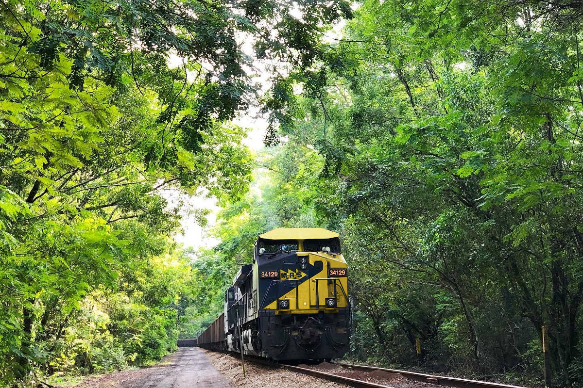 Ferrovia inicia transporte de café do sul de Minas para portos de Santos e do Rio