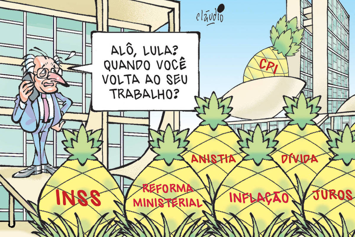 A charge mostra uma cena com o Palácio do Planalto e o Congresso cercado por um abacaxizal. Em uma das cúpulas do edifício há um abacaxi gigante com a inscrição CPI. No alto da rampa, na entrada do prédio do Palácio do Planalto, aparece o vice-presidente da República, Geraldo Alckmin, que fala ao celular. Ele diz;  - Alô, Lula? Quando você volta ao seu trabalho?  Nos abacaxis em frente ao Palácio do Planalto estãos inscritas as palavras “INSS”, “Reforma ministerial”, “inflação”, “anistia”, “dívida”  e “juros”.  