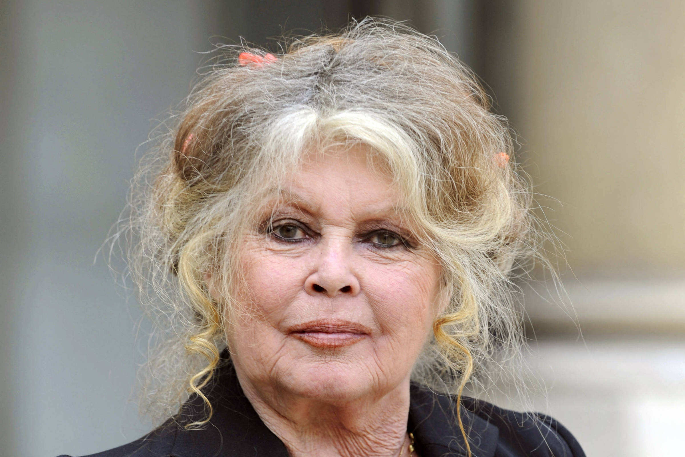 Brigitte Bardot defende Gérard Depardieu e outros acusados de agressão sexual