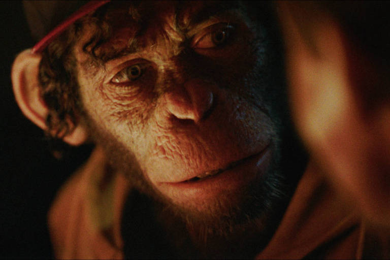 Robbie Williams retratado como macaco: o que ver na TV e no streaming na terça