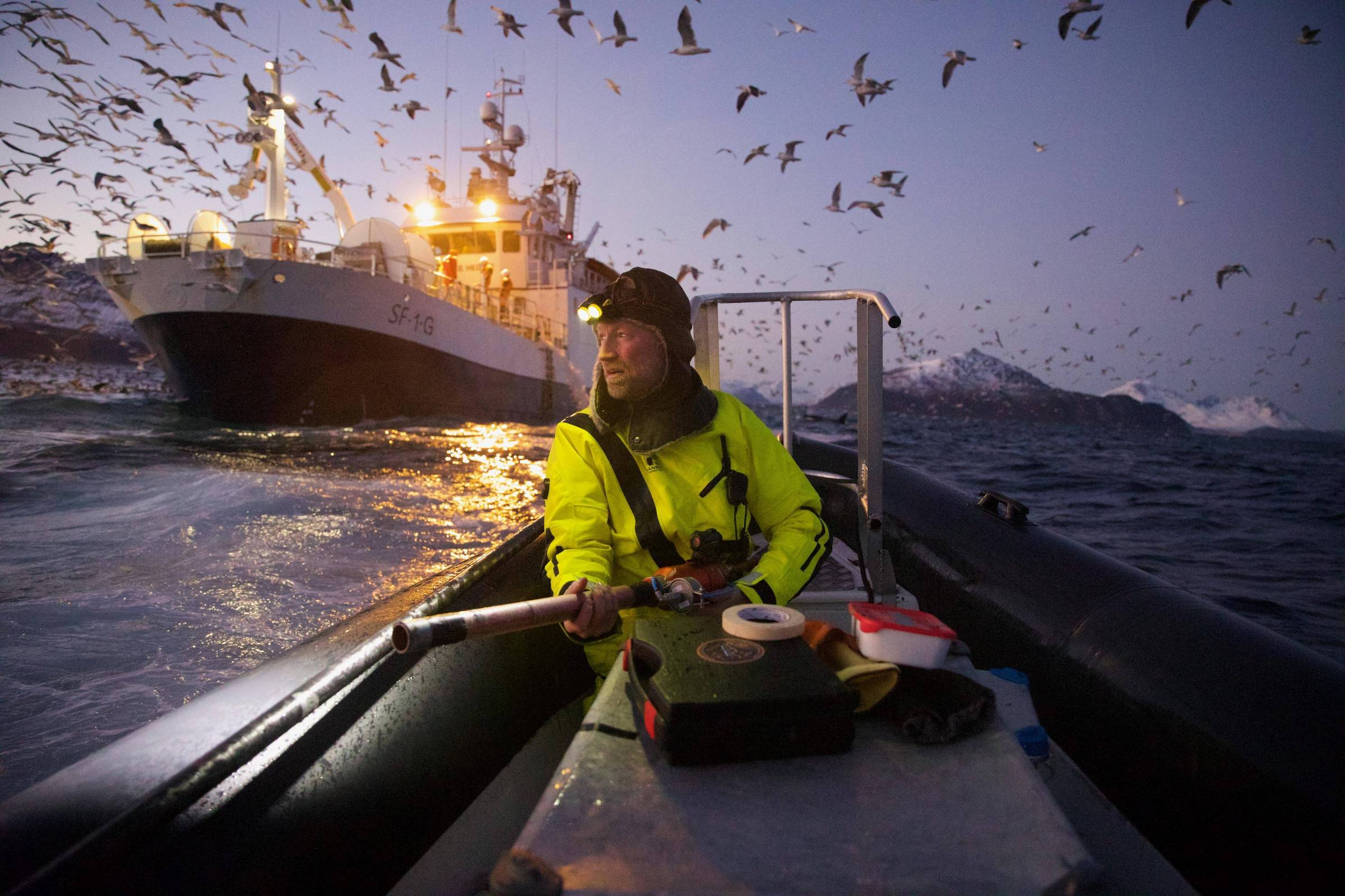 Nature premia foto de biólogo rastreando baleias em fiorde na Noruega