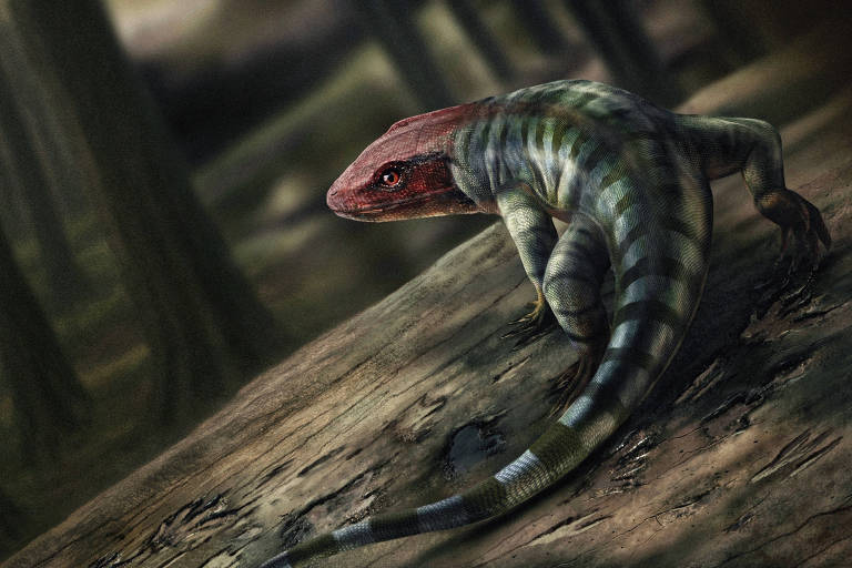 Pegadas encontradas na Austrália revelam o réptil mais antigo conhecido
