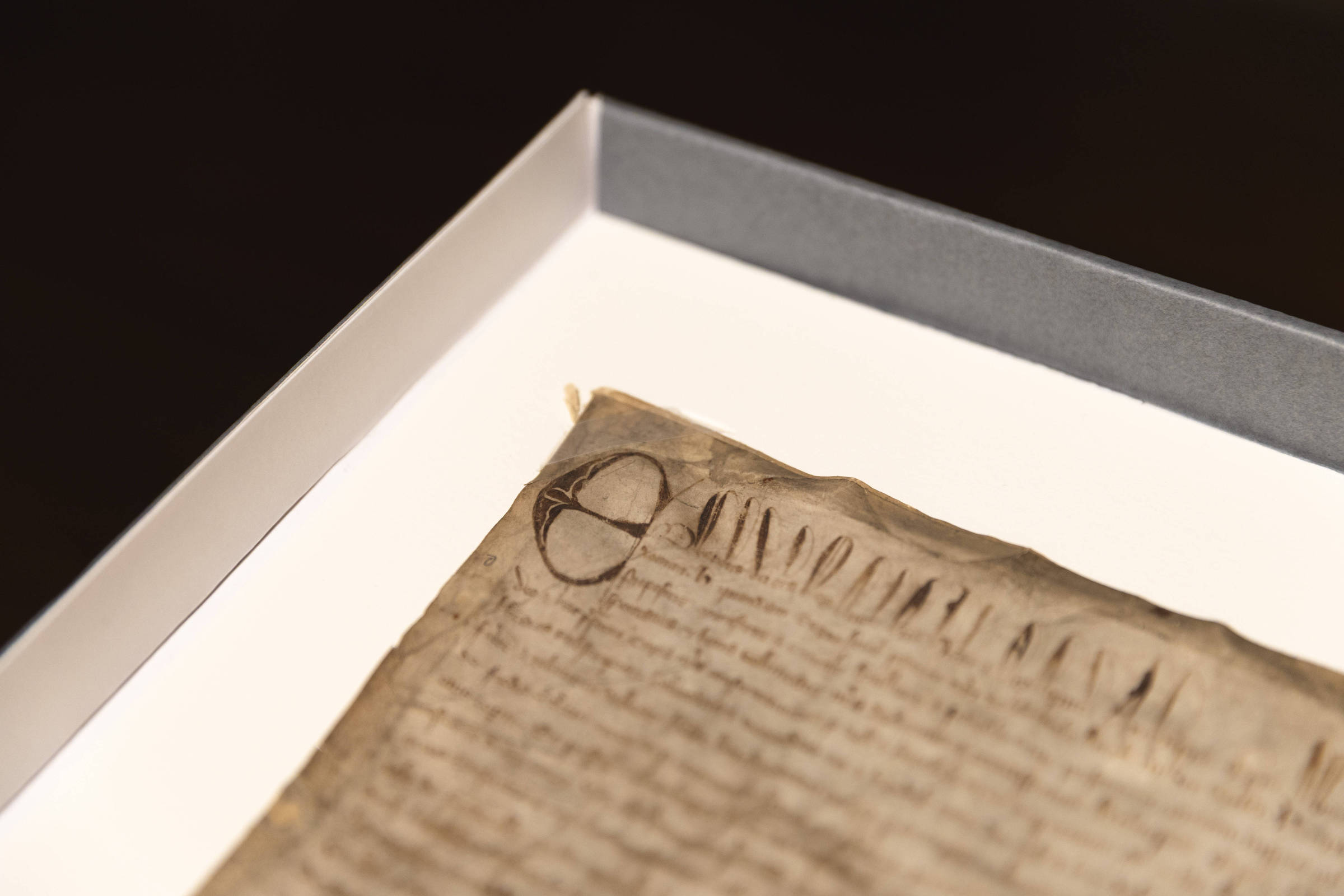 Harvard descobre que pagou US$ 27 por arquivo histórico de valor inestimável