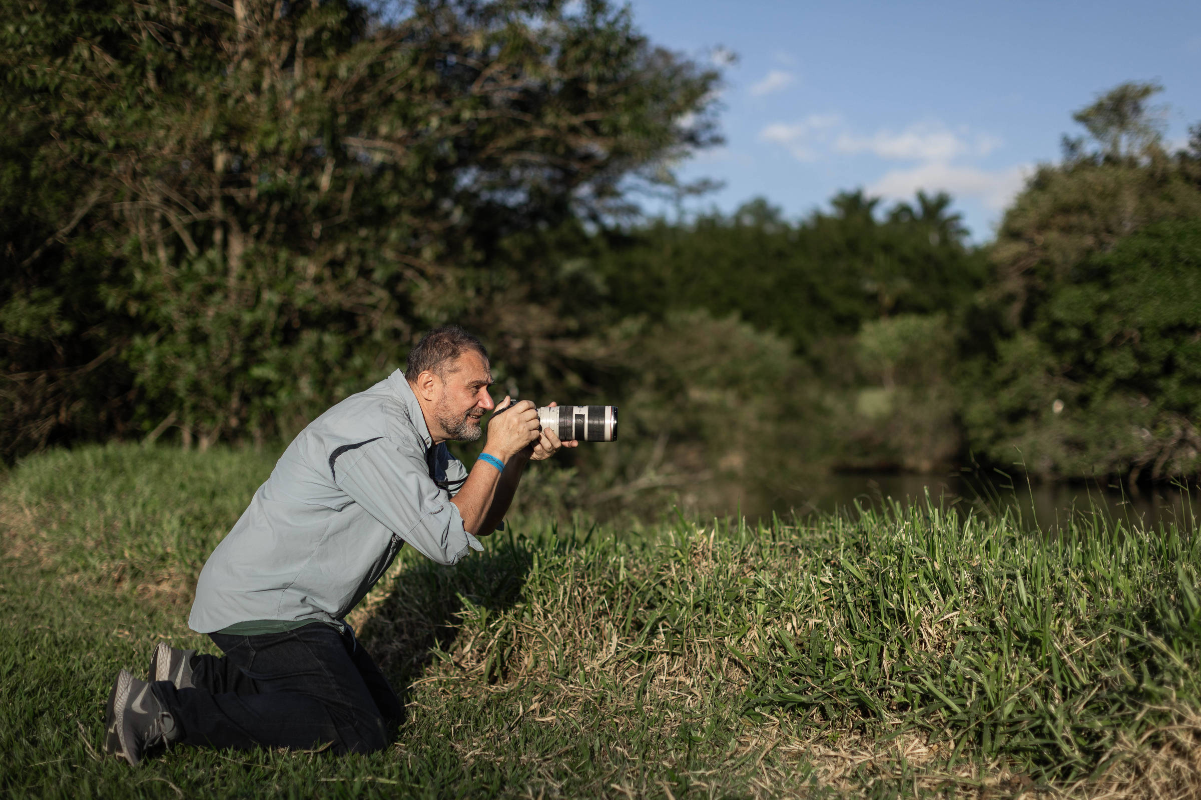 Festival para observadores de aves em SP tem passeio noturno para ver coruja e mais de 200 palestras