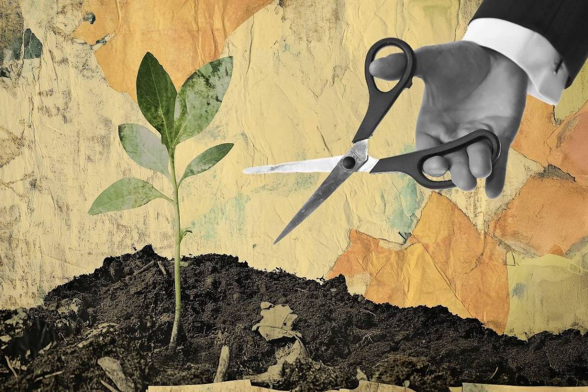 Educação em tempo integral: necessidade negligenciada