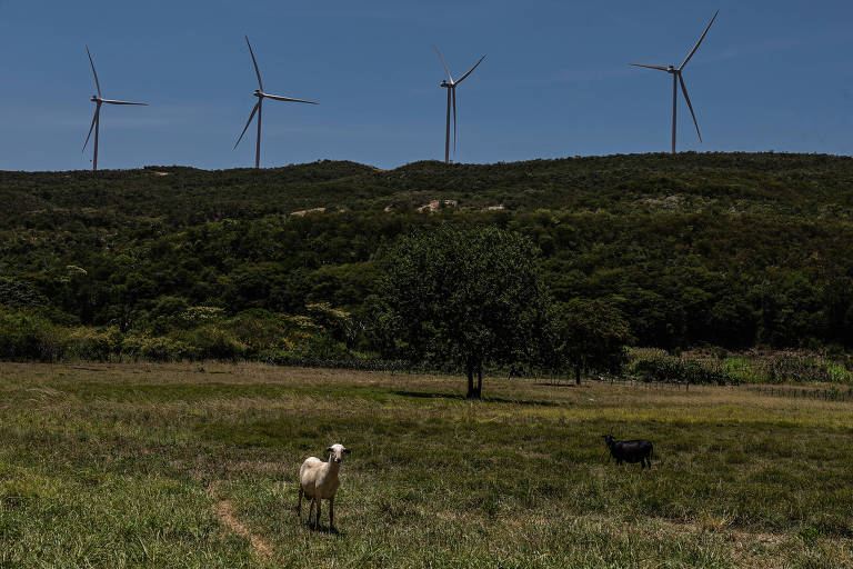 Seminário da Folha discute transição energética e mercado de carbono