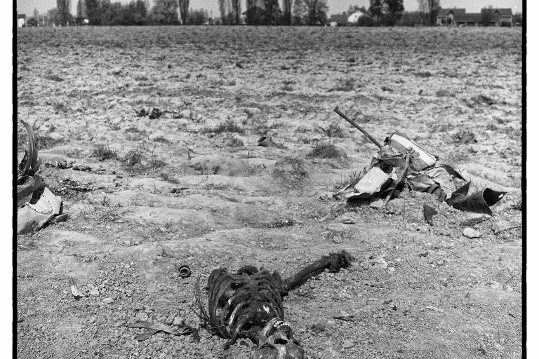 Esqueleto de soldado russo que teve seu helicóptero derrubado nos primeiros dias da invasão russa, nas imediações de Kiev, capital da Ucrânia, em abril de 2022