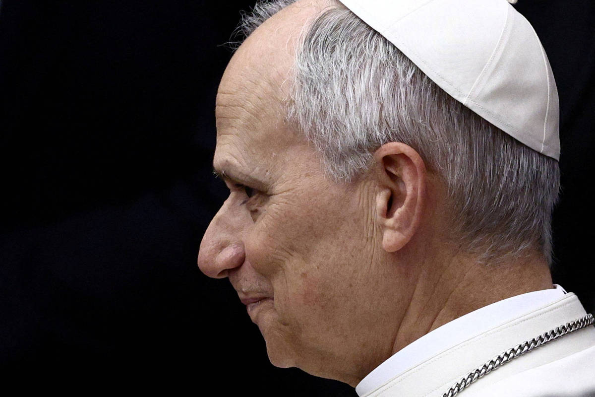 Audiência do papa com cardeal brasileiro discutiu papel da Igreja na COP30
