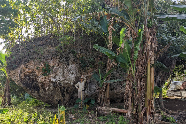 La imagen muestra una gran formación rocosa cubierta de vegetación, con una persona parada junto a ella para dar escala. La roca tiene una forma irregular y está rodeada de plantas tropicales, incluidos árboles de plátano. El entorno parece ser un área natural, con la luz del sol filtrándose a través de las hojas de los árboles.