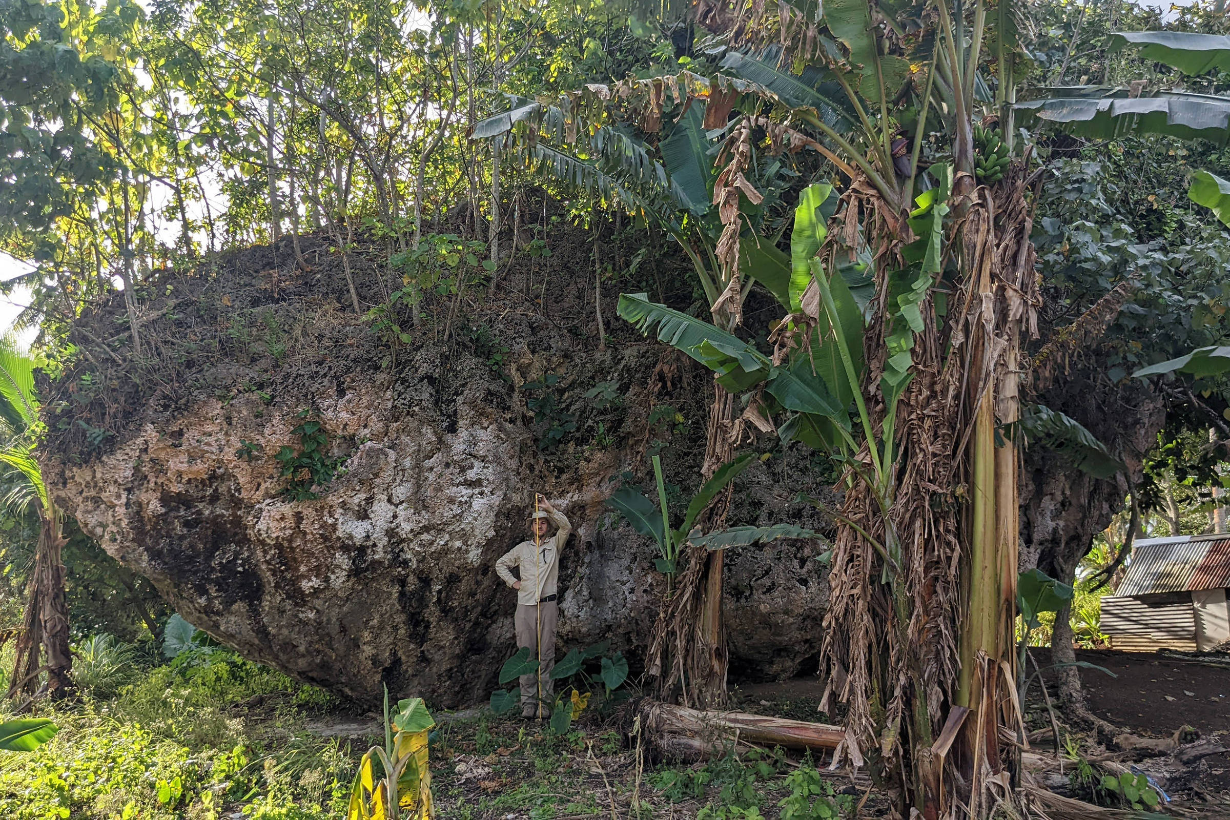 Como um rocha gigante se moveu no topo do penhasco de uma ilha no Pacífico