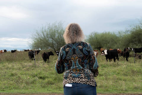 Sandra Palleiro looks at cattle on a farm, in Artigas, Uruguay April 9, 2025. REUTERS/Martin Varela Umpierrez ORG XMIT: HFS-GGGCDG04