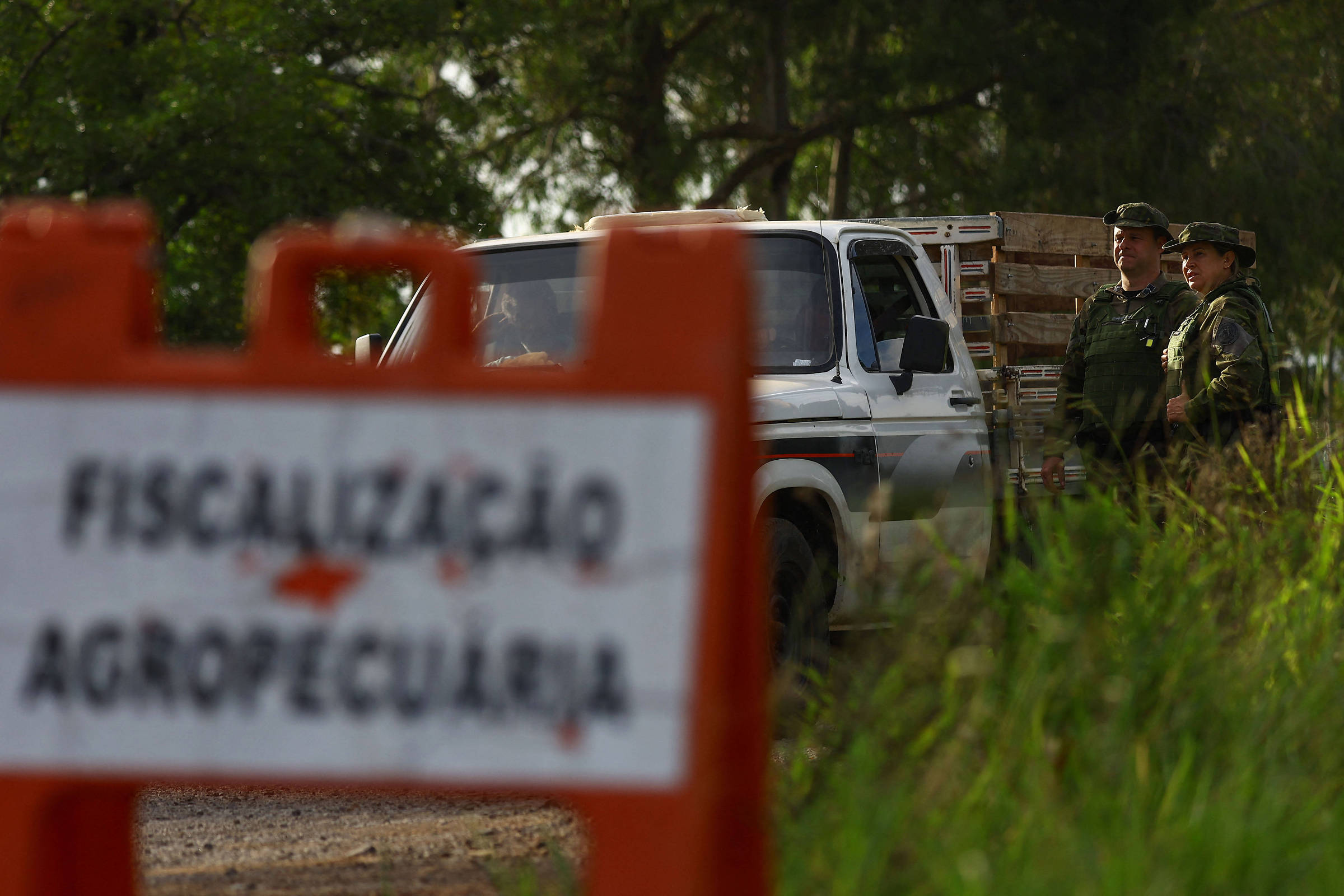 Uruguai, México e Chile suspendem importação de frango brasileiro após caso de gripe aviária