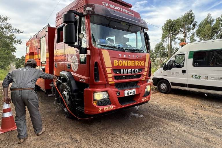 Novo caso de contaminação de gripe aviária em granja é investigado no RS