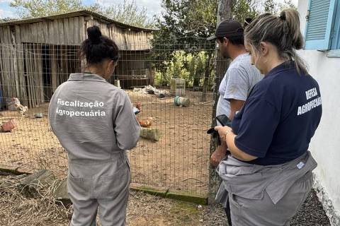 Ministério da Agricultura tentou distribuir testes de gripe aviária com certificado vencido