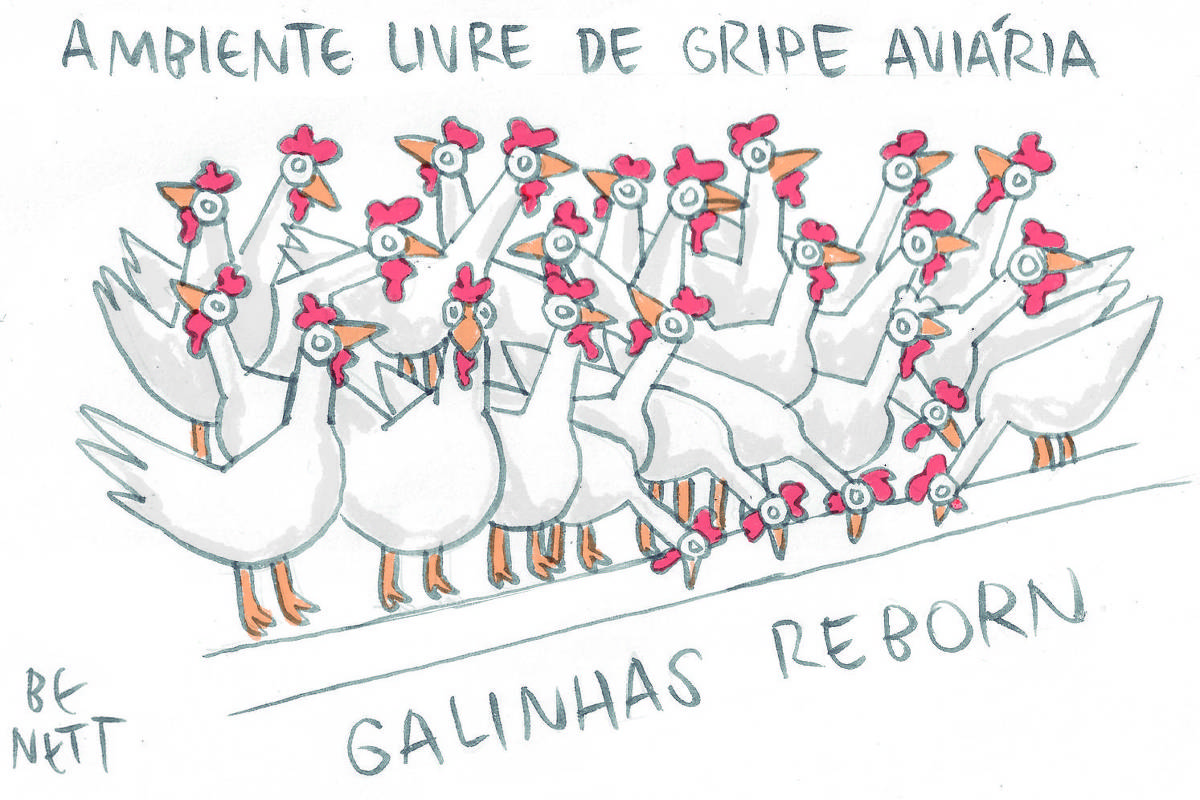 A charge de hoje da Folha, publicada em todas as suas plataformas, é de Benett (@cartunistabenett). A imagem é um desenho em preto e branco com alguns detalhes em laranja, retratando um grupo numeroso de galinhas brancas. Elas estão aglomeradas sobre uma linha horizontal que sugere um poleiro ou o chão. As galinhas estão voltadas para baixo, bicando algo que não está visível na imagem.  Cada galinha é desenhada de forma simples e caricata, com cristas vermelhas e bicos laranja. Seus olhos são grandes e redondos, com pupilas pretas. Algumas galinhas parecem estar empurrando umas às outras para alcançar o que está abaixo.  Na parte superior do desenho, em letras maiúsculas, está escrito: "AMBIENTE LIVRE DE GRIPE AVIÁRIA". Abaixo das galinhas, também em letras maiúsculas, lê-se: "GALINHAS REBORN". 