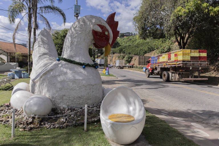 Itaberaí (GO) e Santa Maria de Jetibá (ES) são os municípios com mais aves no Brasil; veja ranking