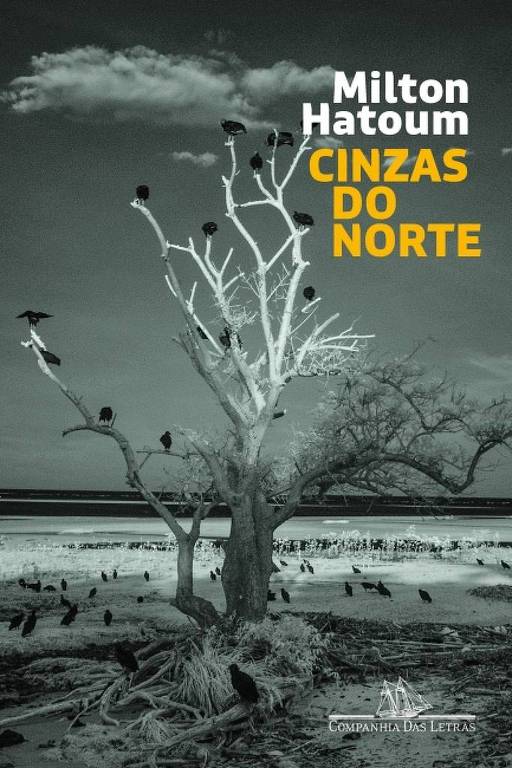 A imagem é a capa do livro 'Cinzas do Norte' de Milton Hatoum. A capa apresenta uma fotografia em preto e branco de uma árvore seca, com galhos brancos e sem folhas, cercada por pássaros escuros. O fundo mostra um céu nublado e uma área de terra ou água na parte inferior. O título do livro e o nome do autor estão escritos em letras grandes e amarelas, destacando-se do fundo.