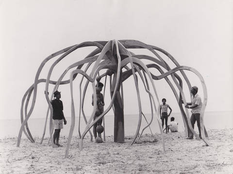 Obra 'A Flor do Mangue', de cerca de 1970, de Frans Krajcberg