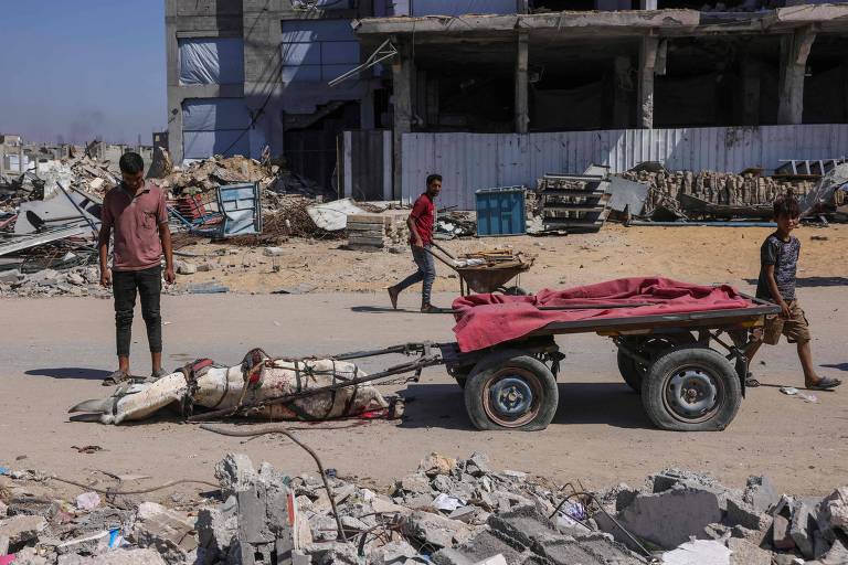 Ajuda liberada por Israel é colherzinha, e Gaza precisa de enxurrada, diz ONU